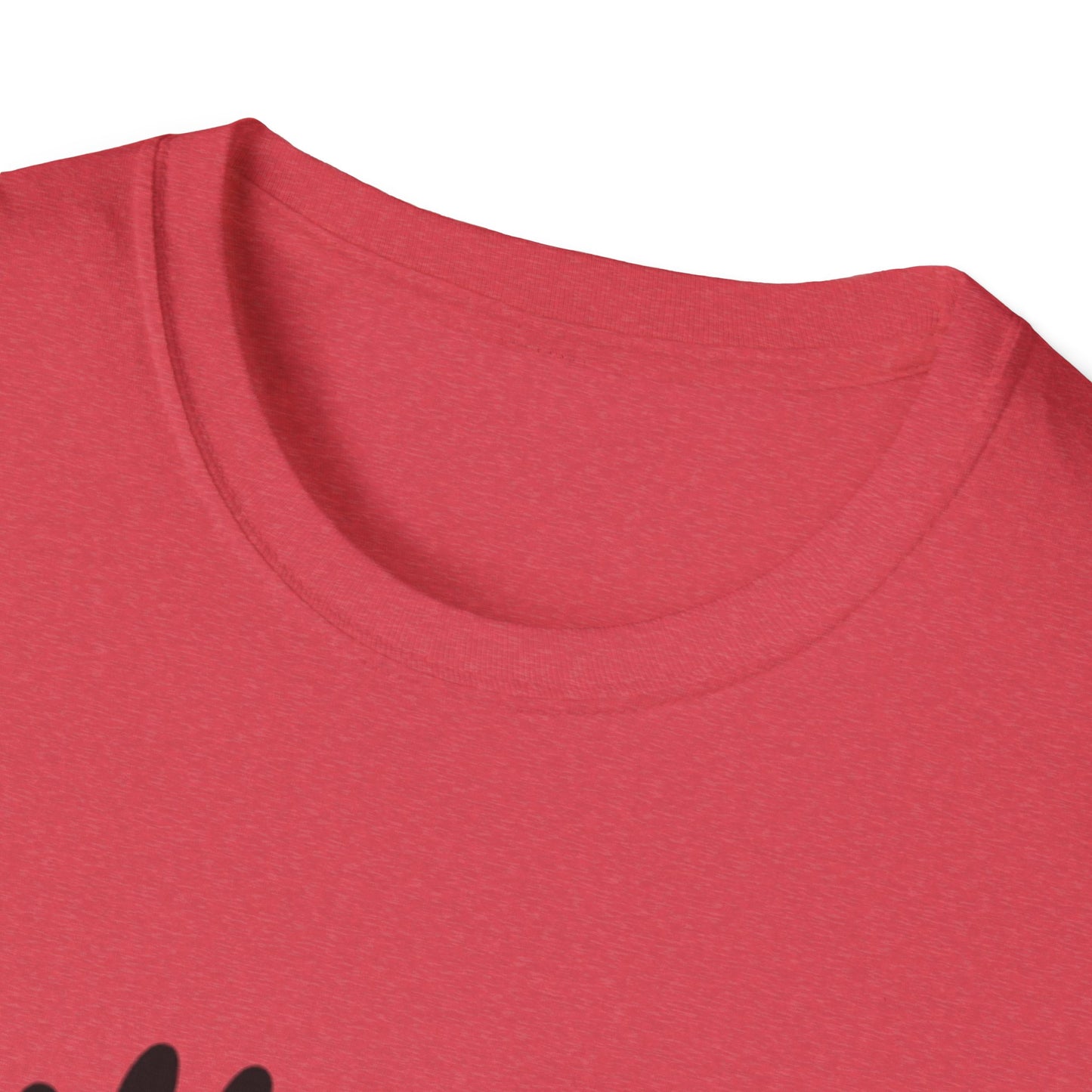 Bully the Rich Unisex Softstyle T-Shirt
