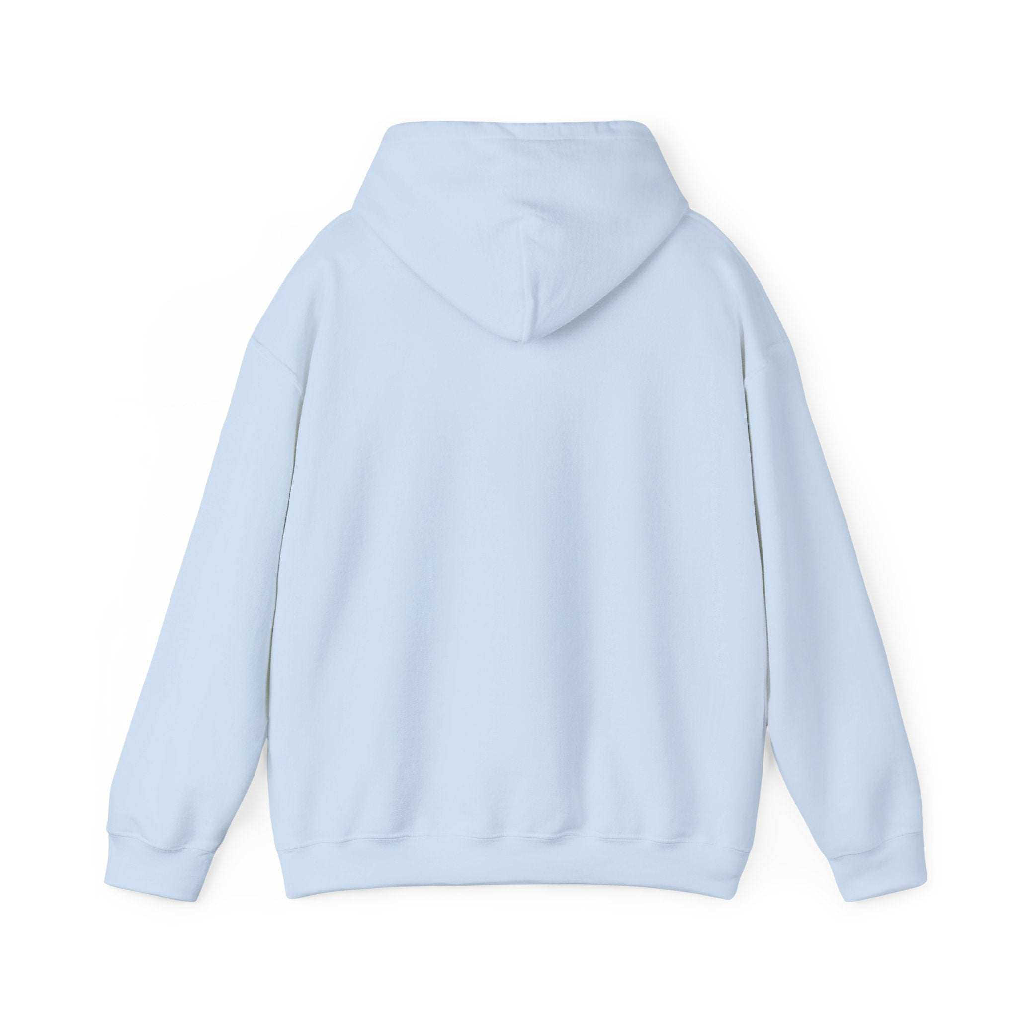 Bully the Rich Unisex Hoodie