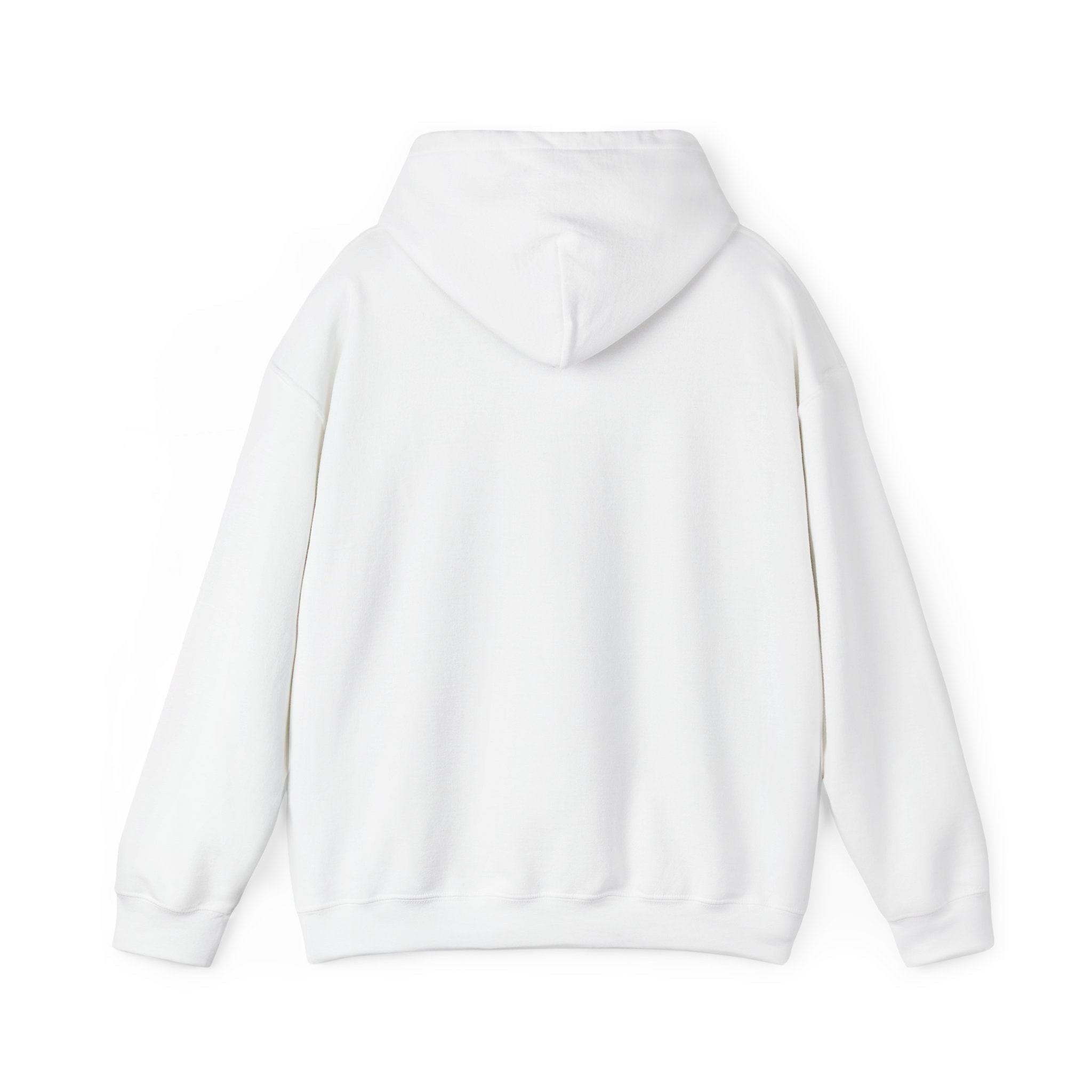 Bully the Rich Unisex Hoodie