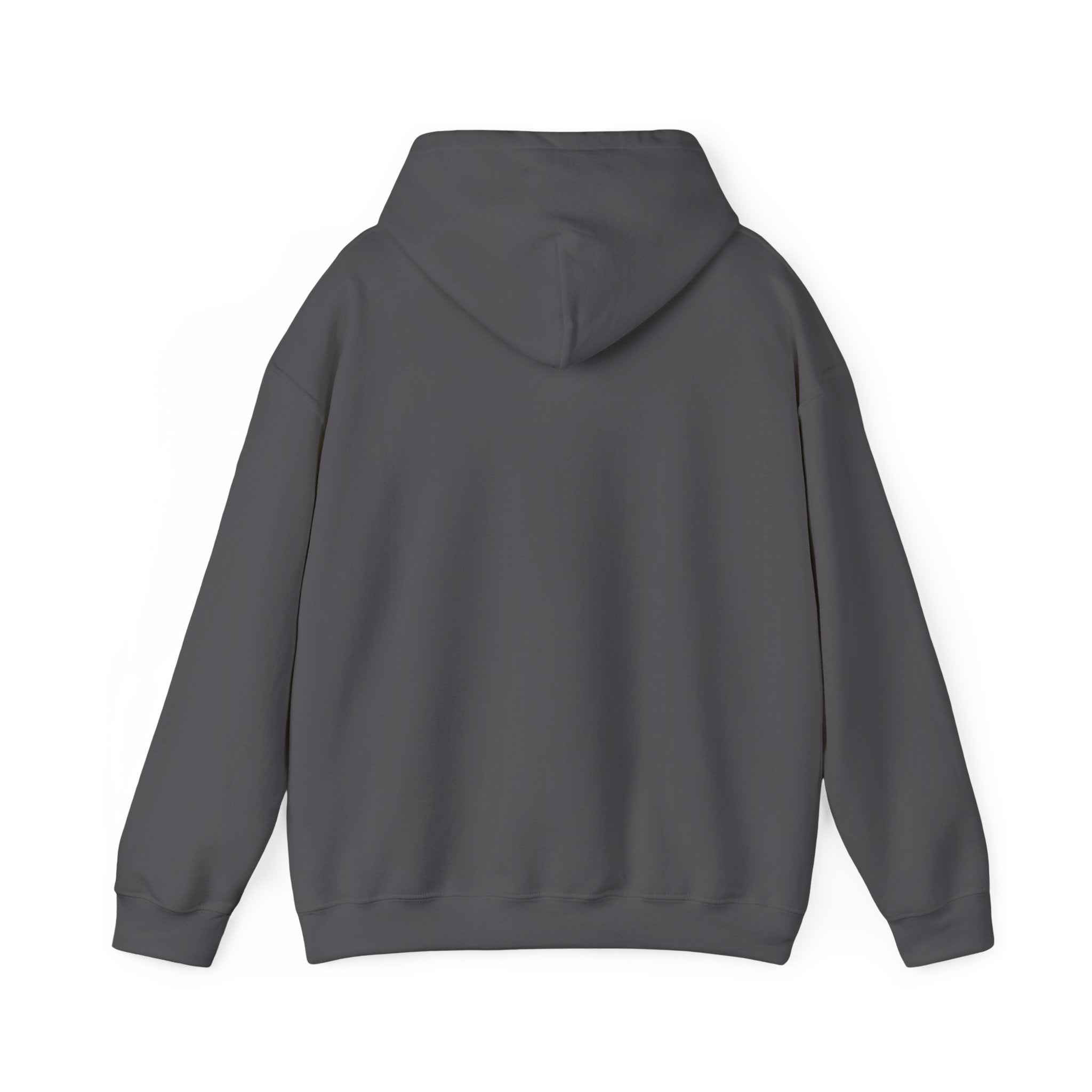Bully the Rich Unisex Hoodie