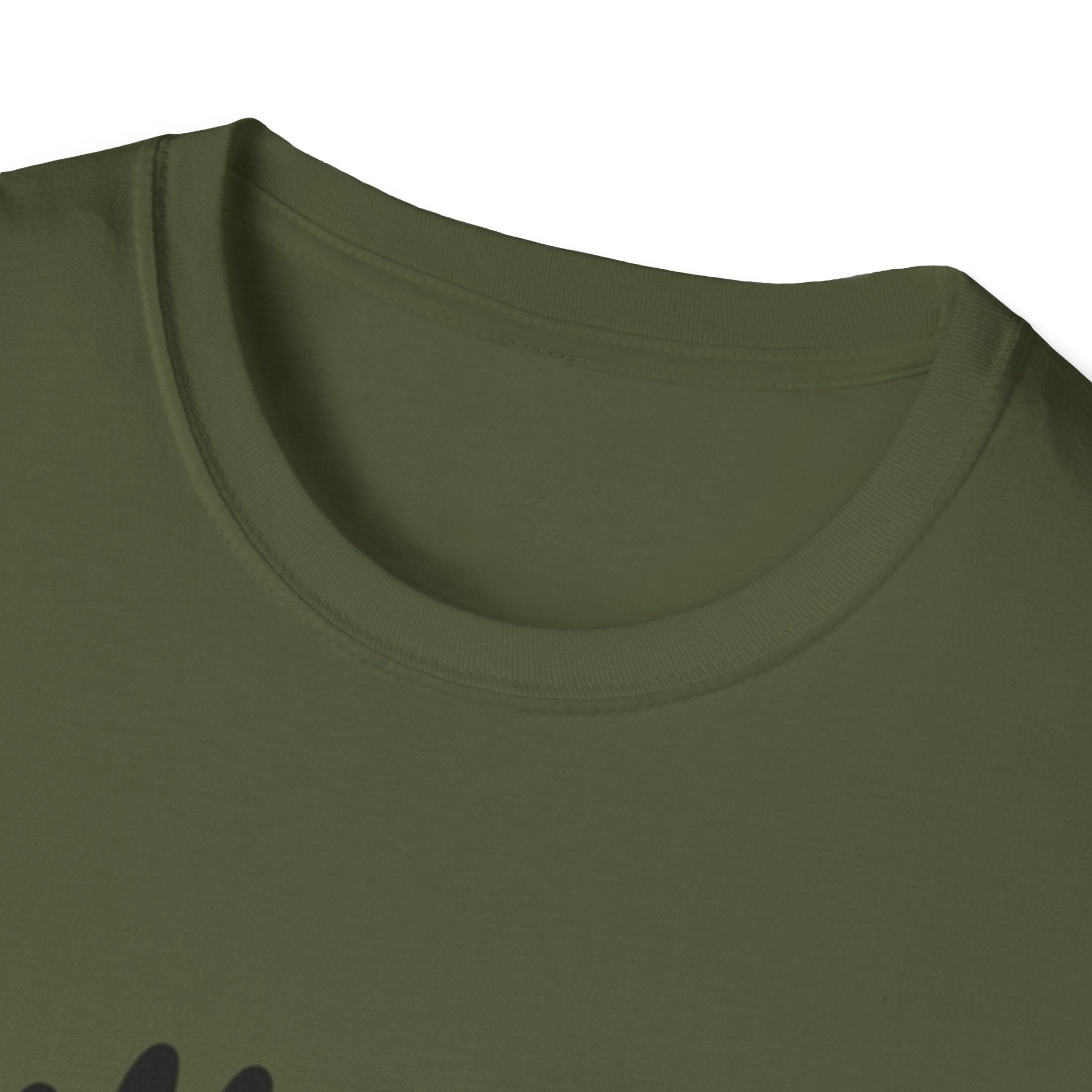 Bully the Rich Unisex Softstyle T-Shirt