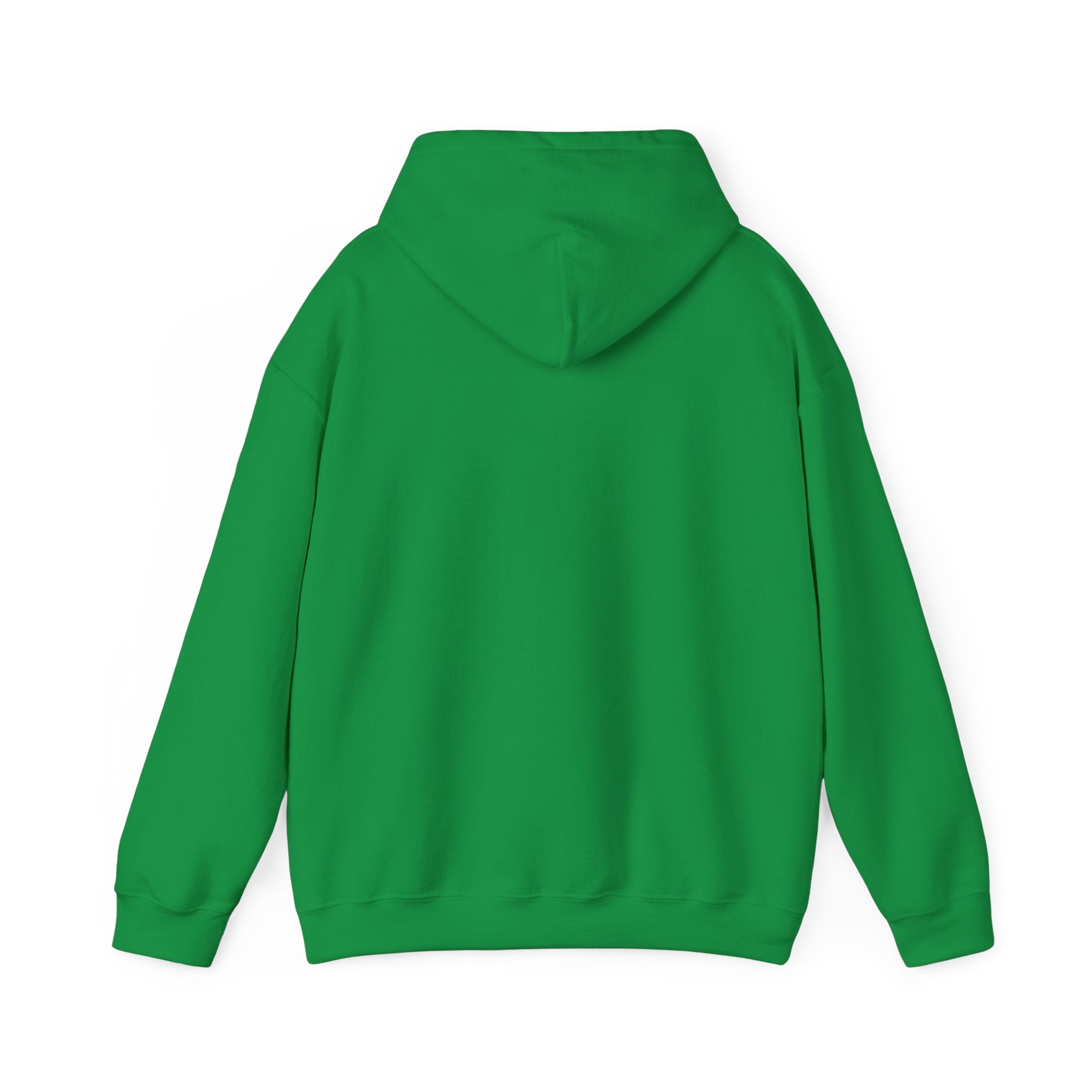 Bully the Rich Unisex Hoodie