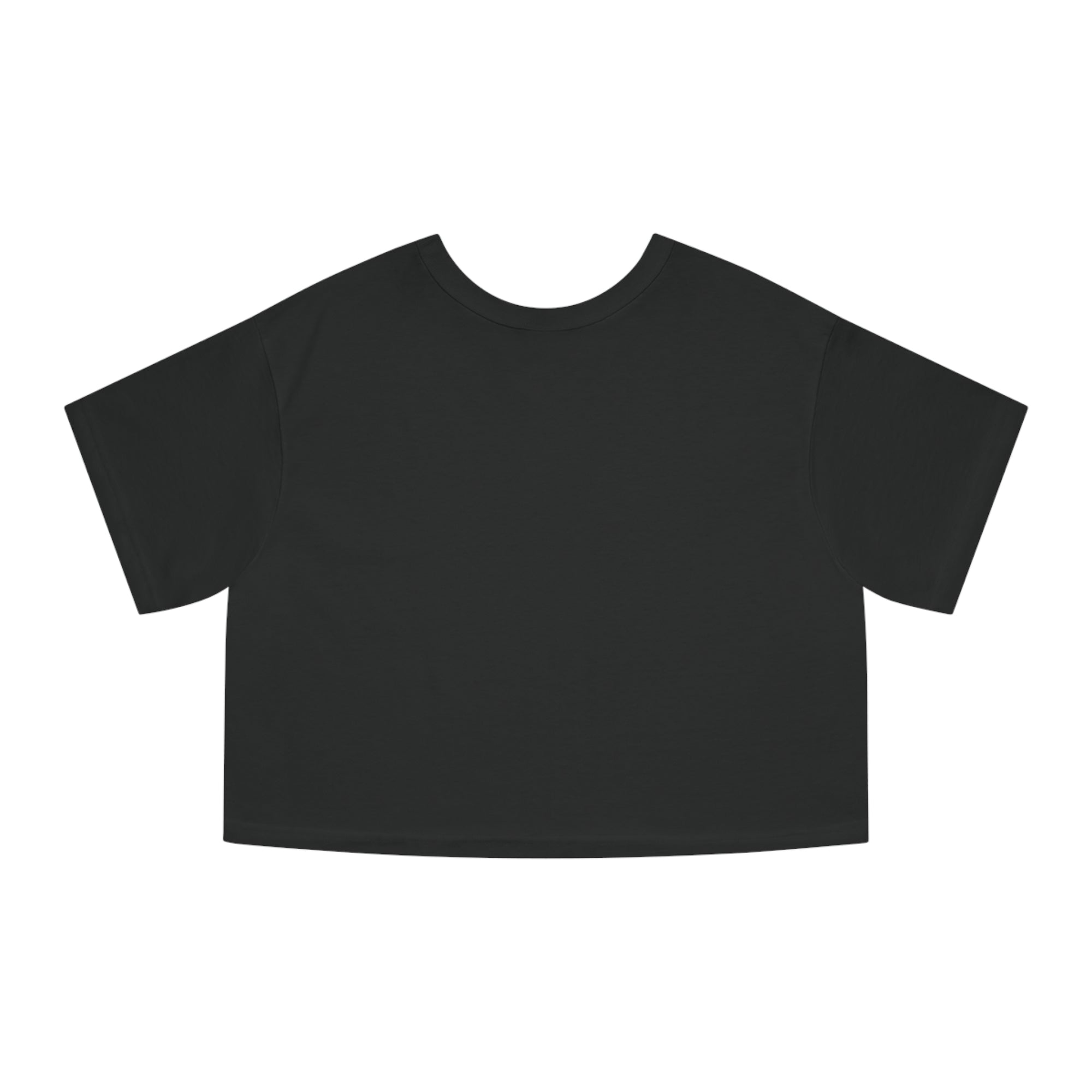 Bully the Rich Dark Cropped T-Shirt