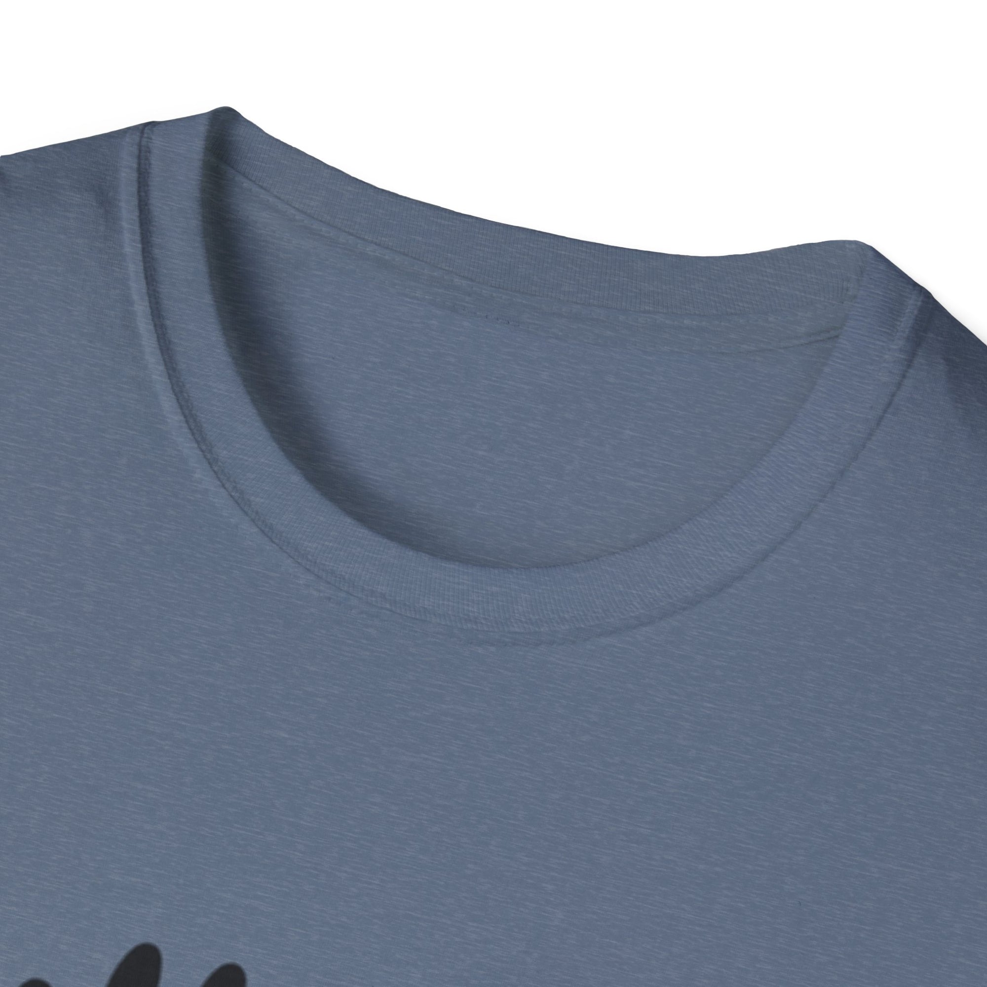 Bully the Rich Unisex Softstyle T-Shirt