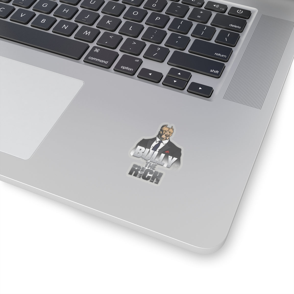 Bully the Rich Vinyl Sticker