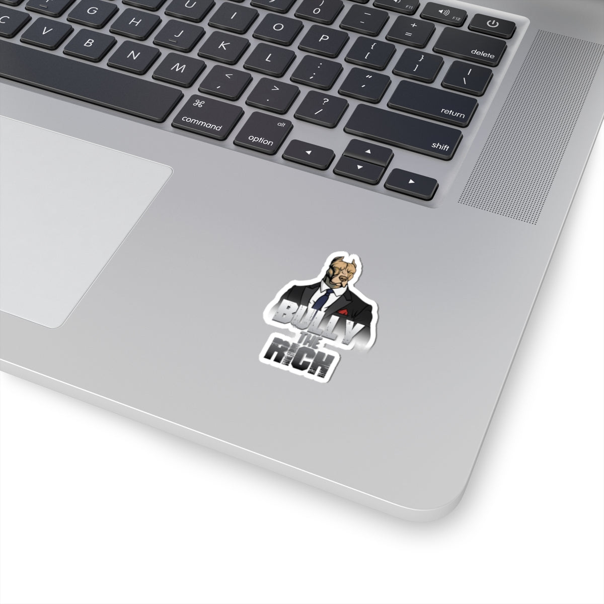 Bully the Rich Vinyl Sticker