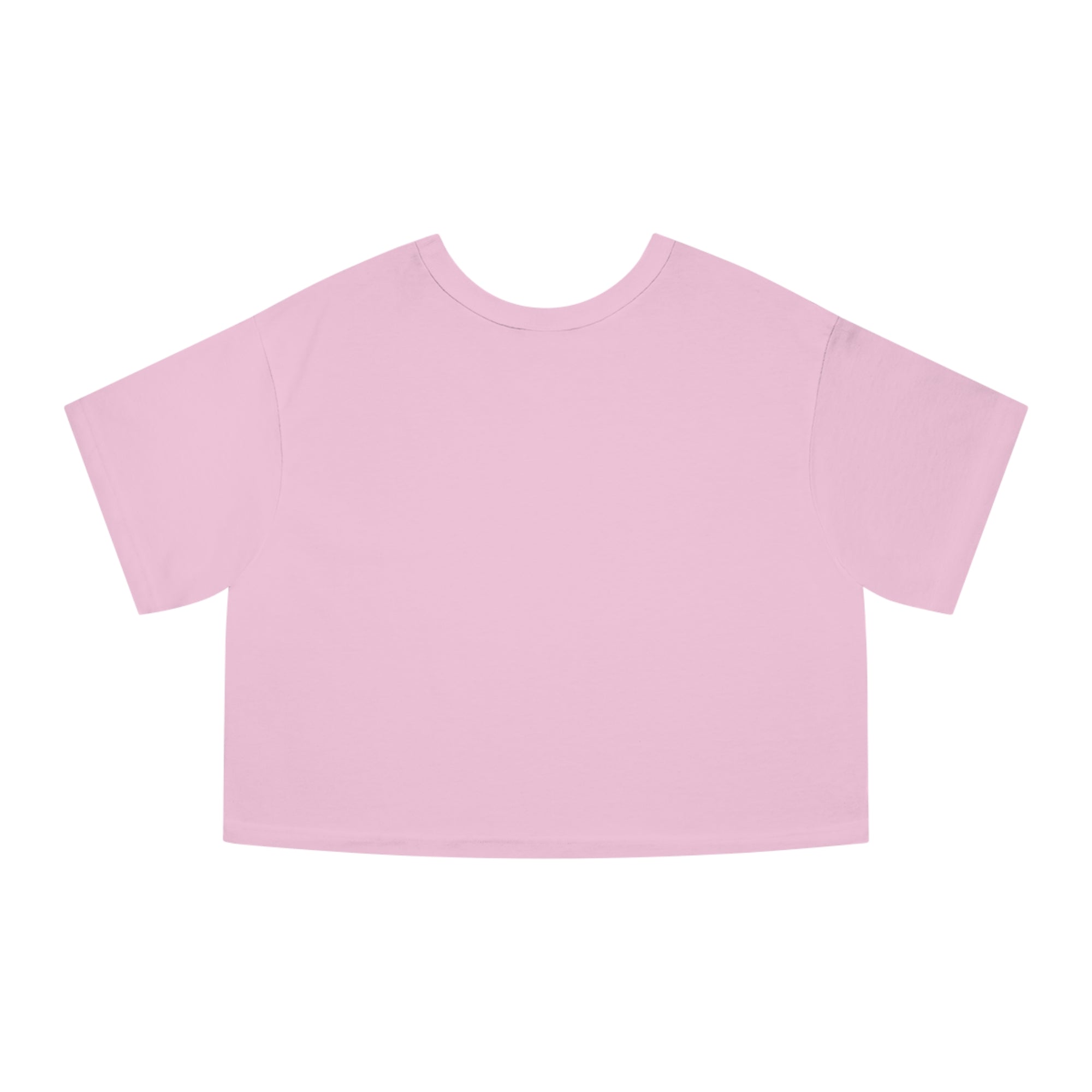Bully the Rich Light Cropped T-Shirt