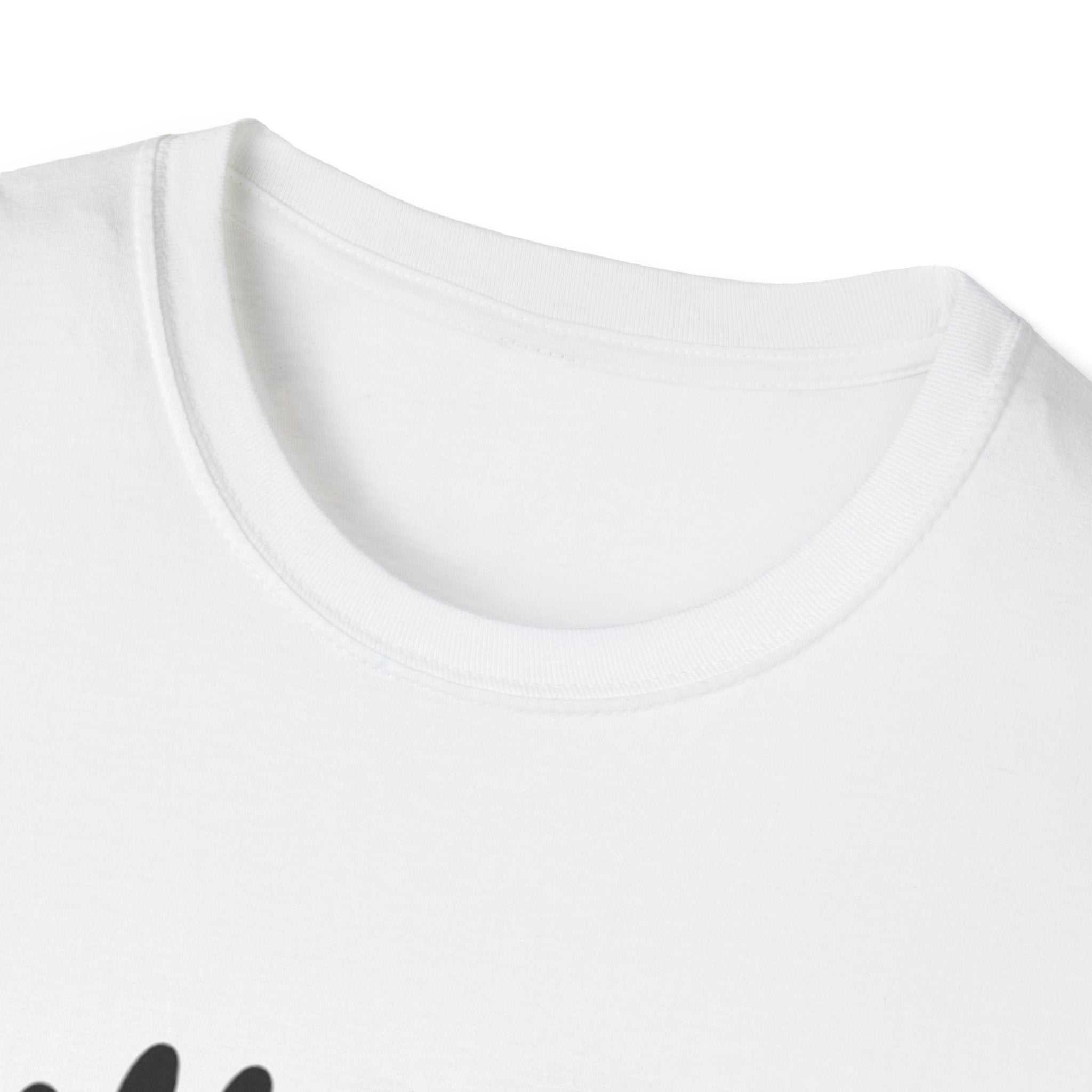 Bully the Rich Unisex Softstyle T-Shirt