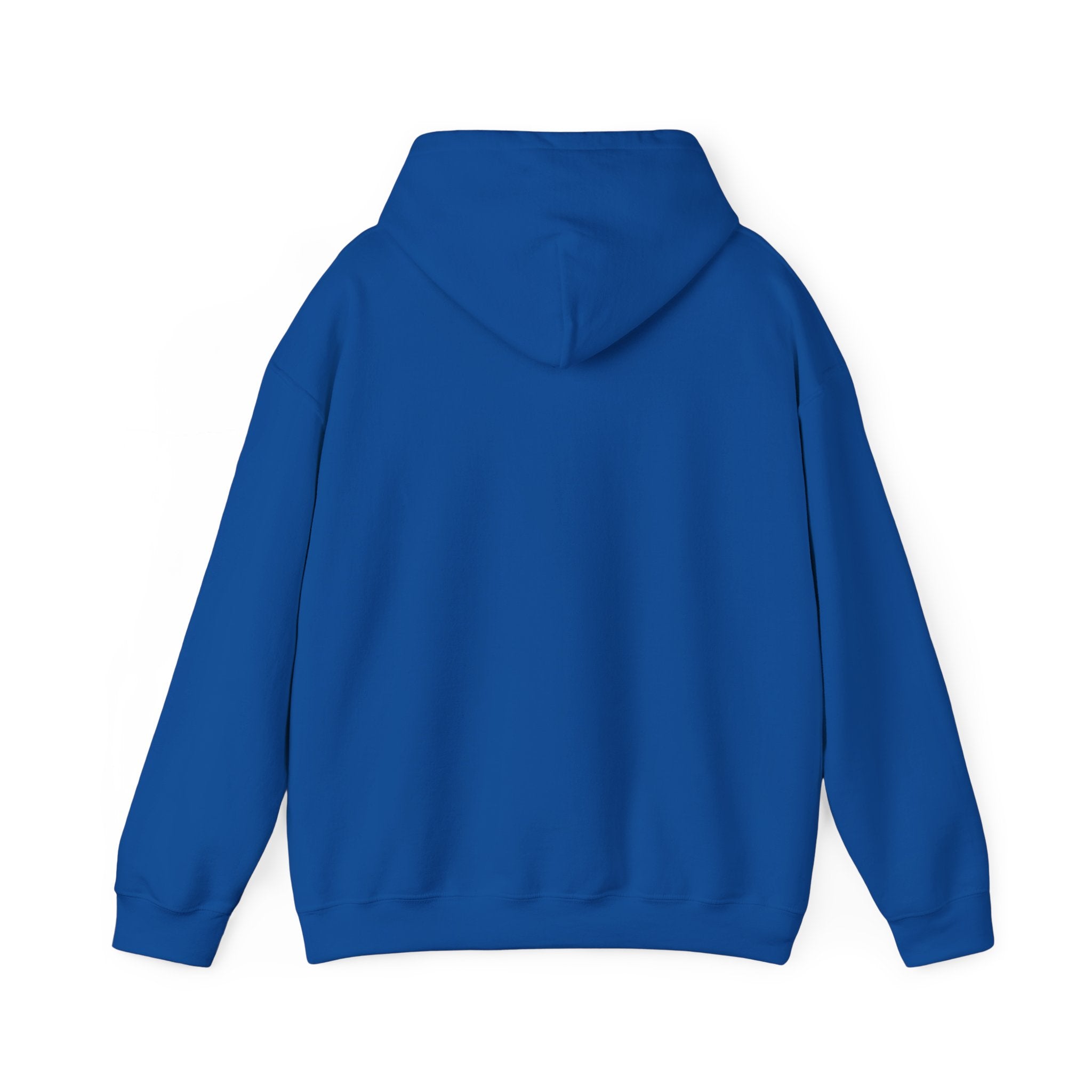Bully the Rich Unisex Hoodie