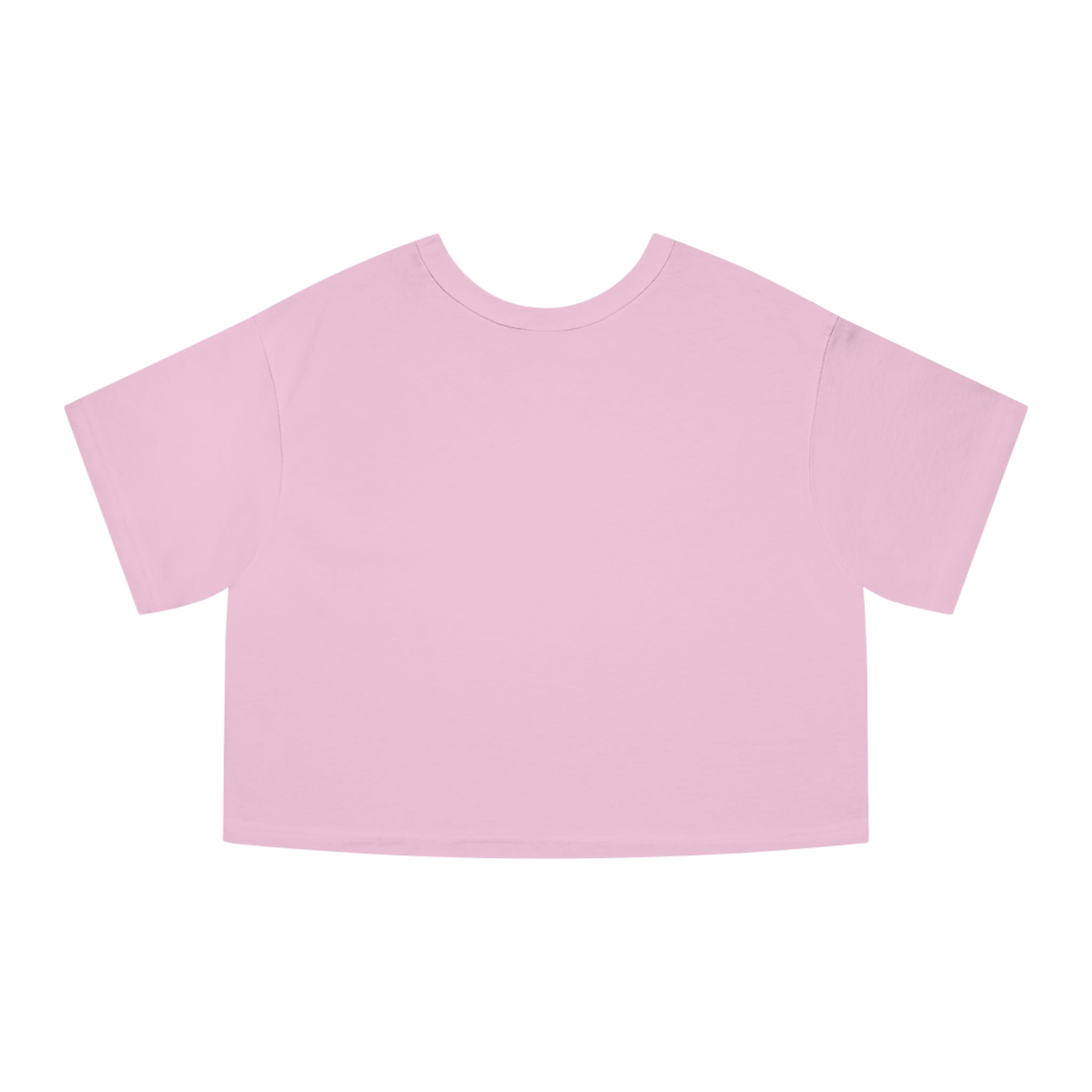 Bully the Rich Dark Cropped T-Shirt