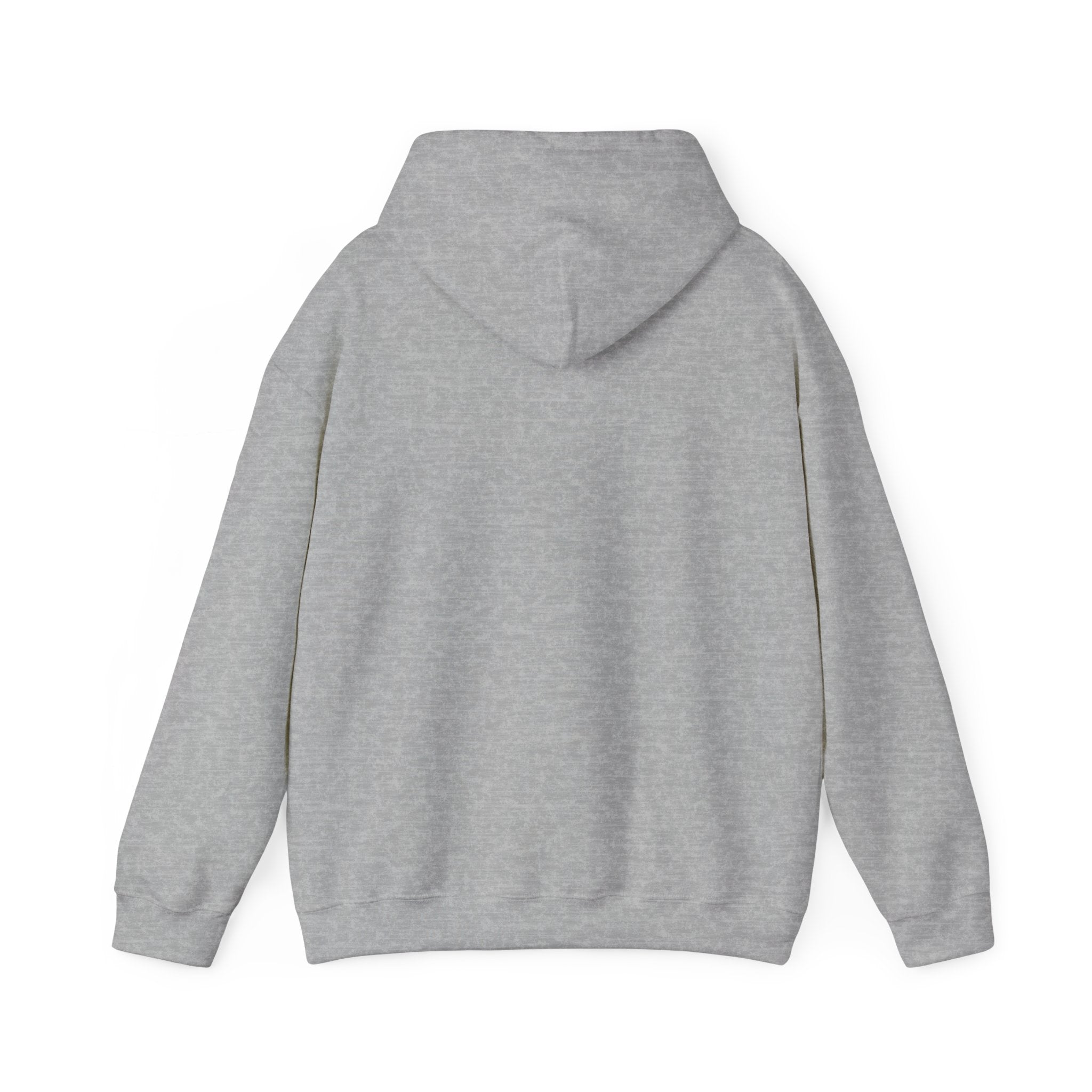 Bully the Rich Unisex Hoodie