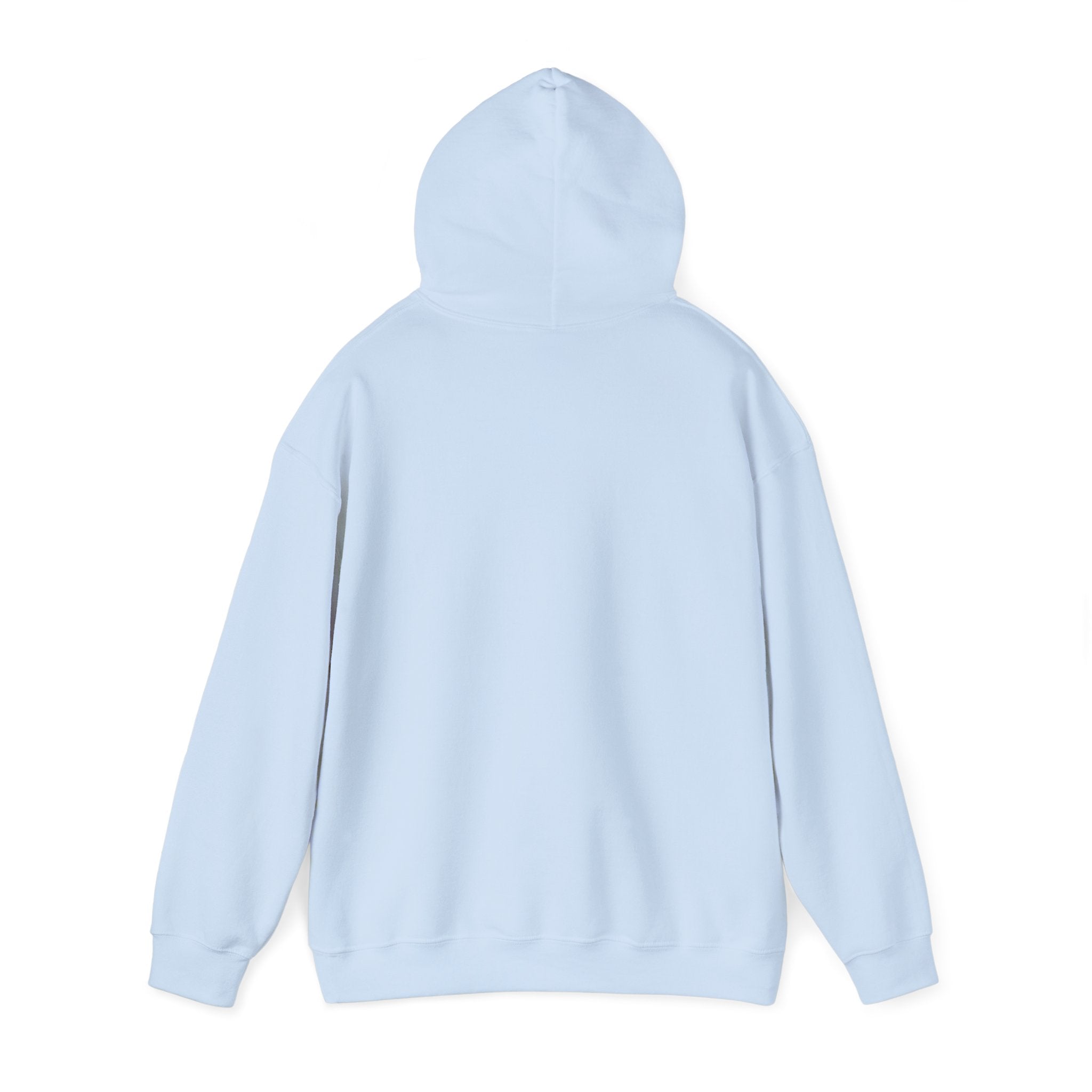 Bully the Rich Unisex Hoodie