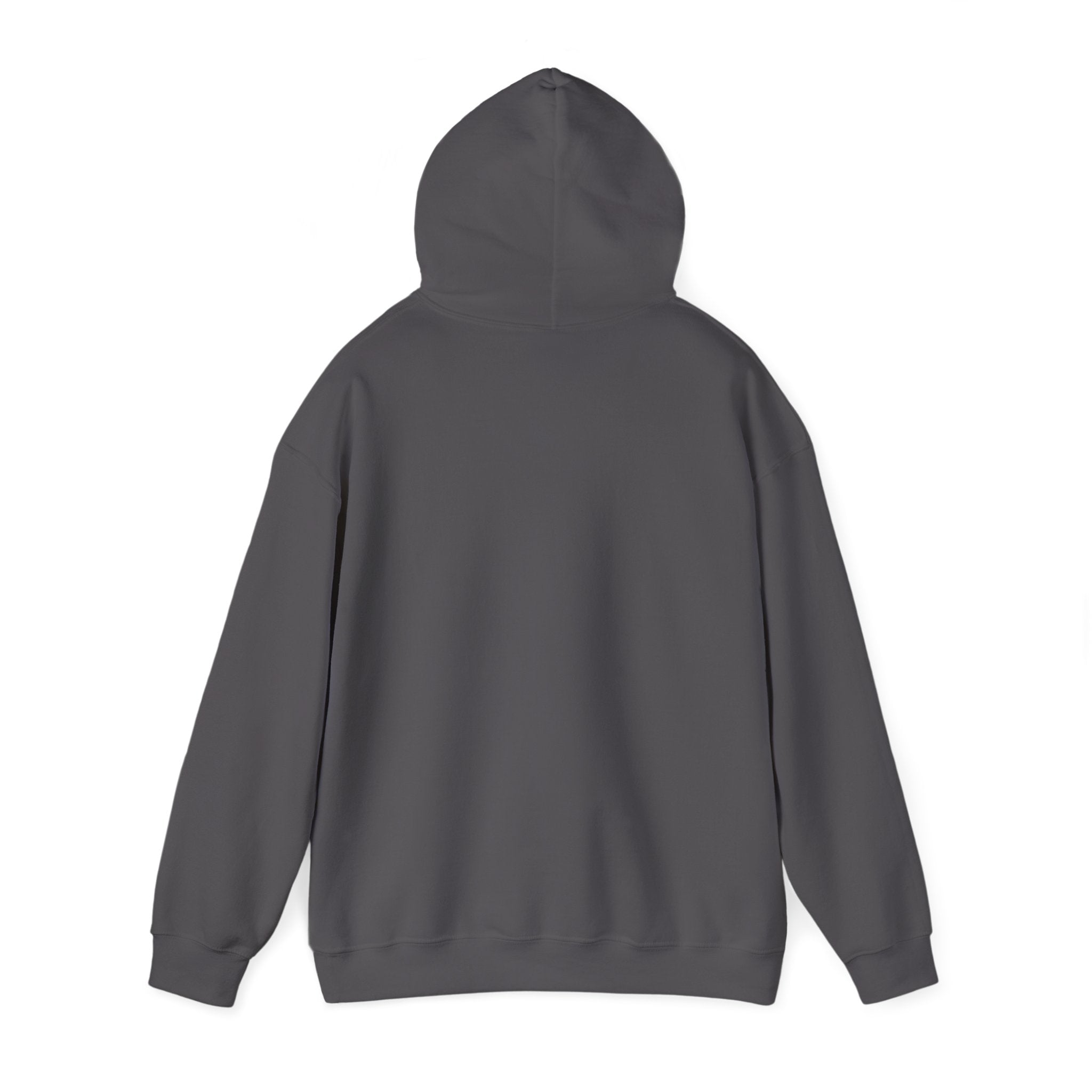 Bully the Rich Unisex Hoodie