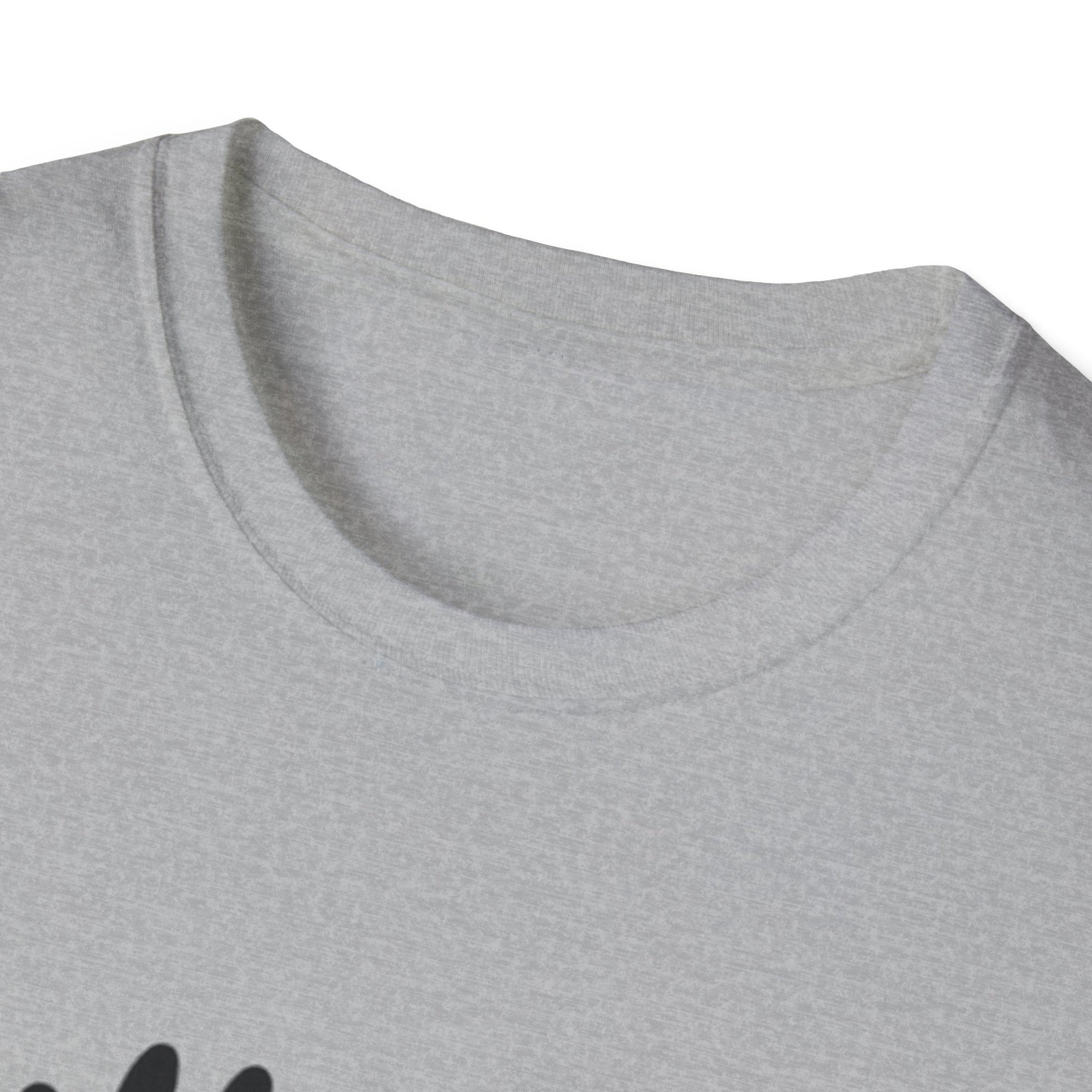 Bully the Rich Unisex Softstyle T-Shirt