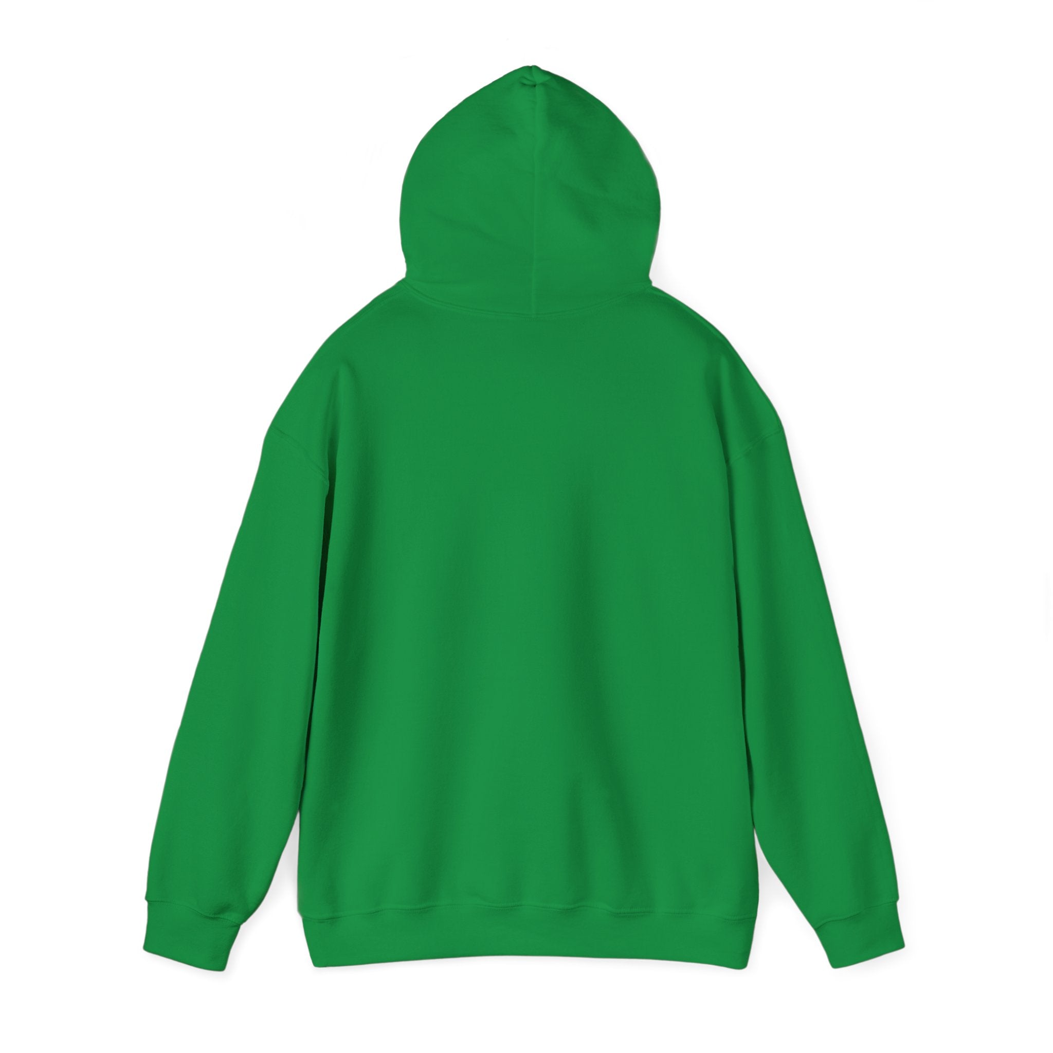 Bully the Rich Unisex Hoodie