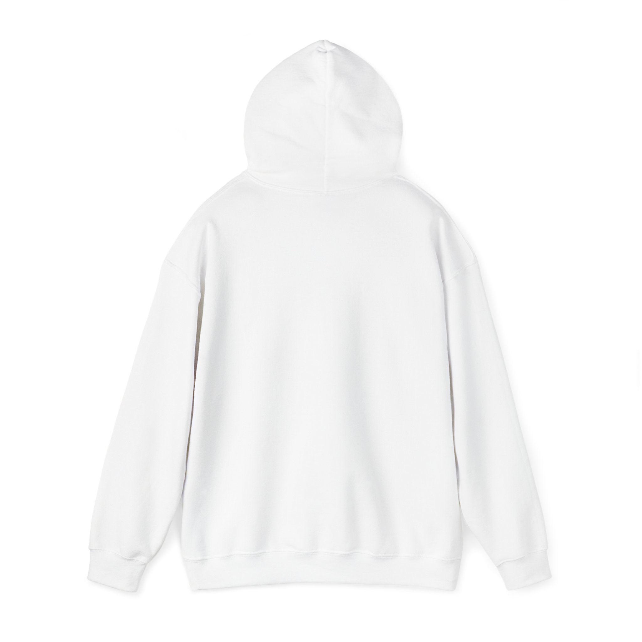 Bully the Rich Unisex Hoodie