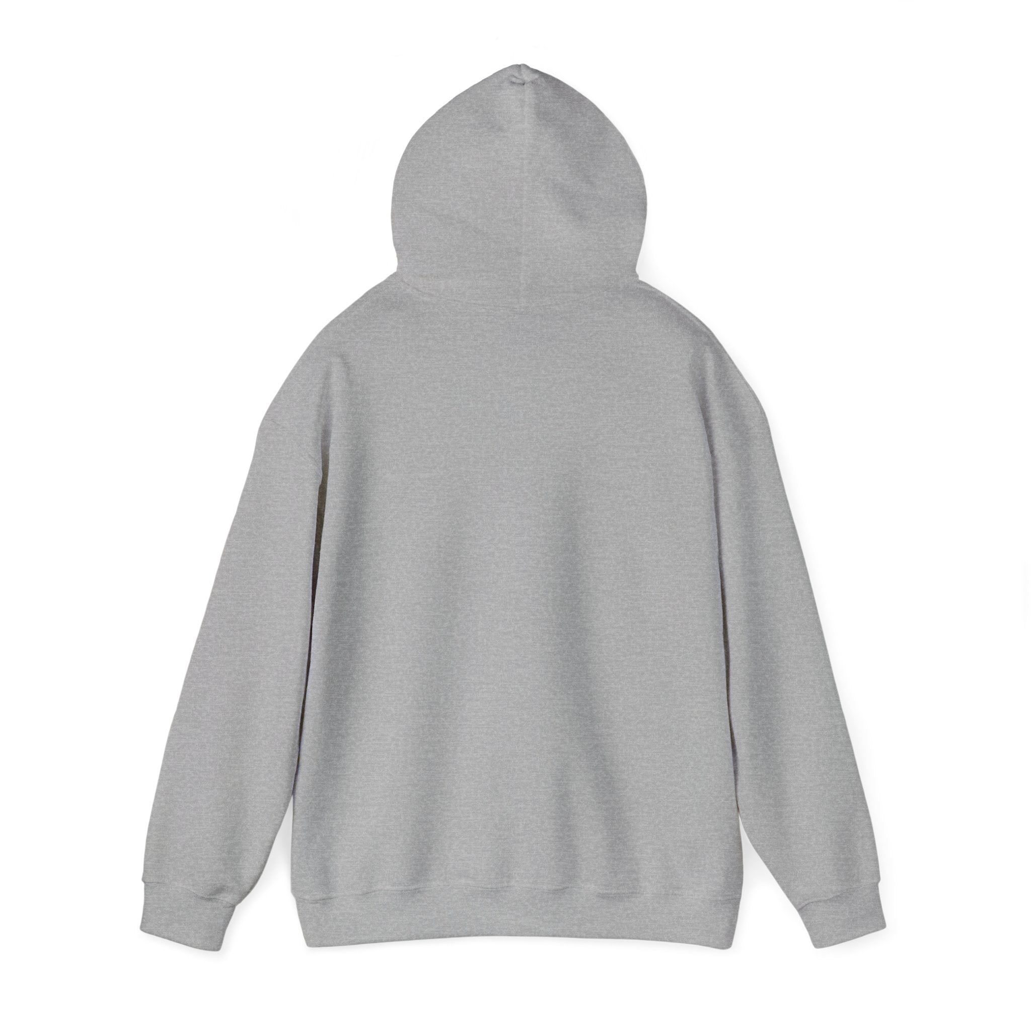 Bully the Rich Unisex Hoodie