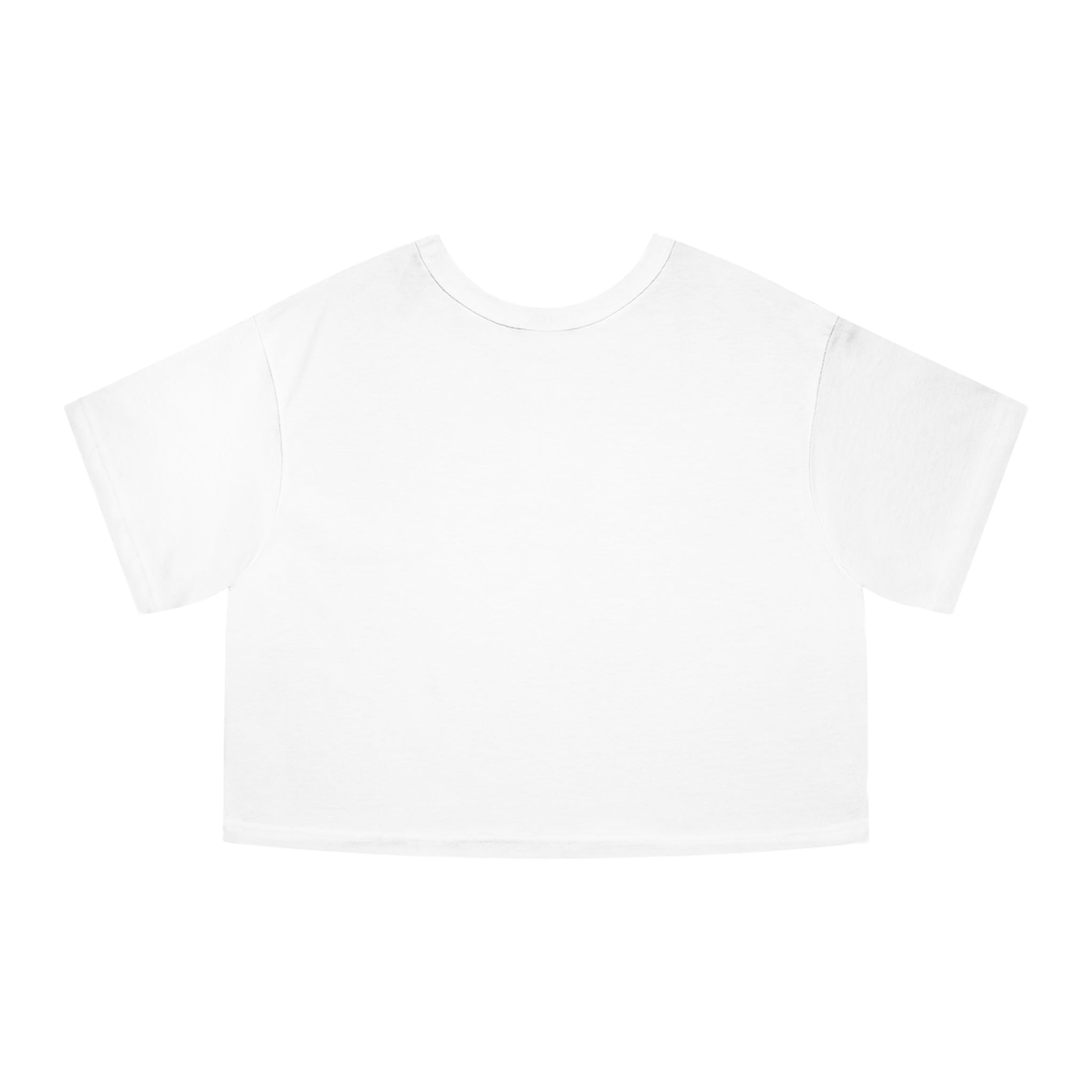 Bully the Rich Light Cropped T-Shirt